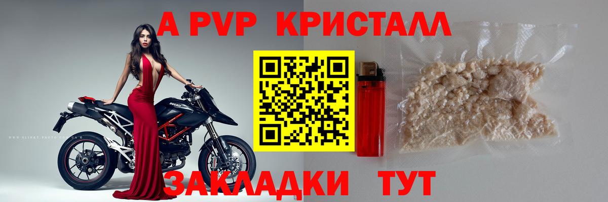 A-PVP СК Ленинск-Кузнецкий