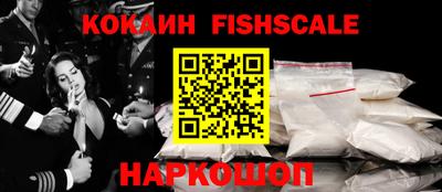гидра Кандалакша