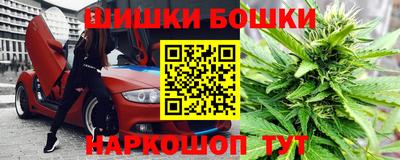 хмурый Кингисепп