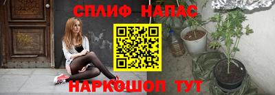 гидра Кандалакша