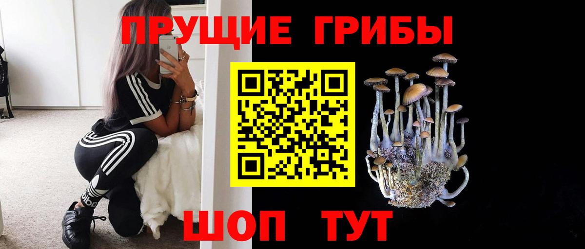 Ленинск-Кузнецкий  Галлюциногенные грибы прущие грибы  как найти закладки  Вход с VPN 