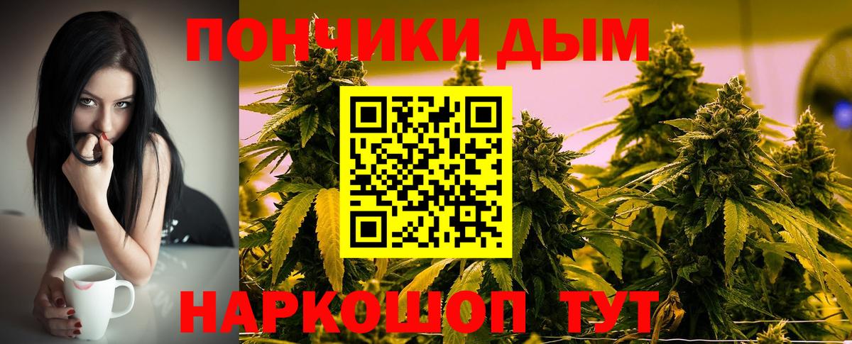 Конопля конопля Ленинск-Кузнецкий